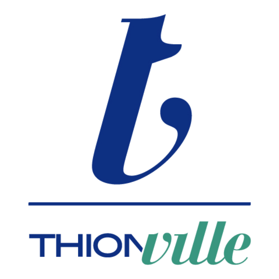 Thionville Pixel Et Boeuf Bourguignon
