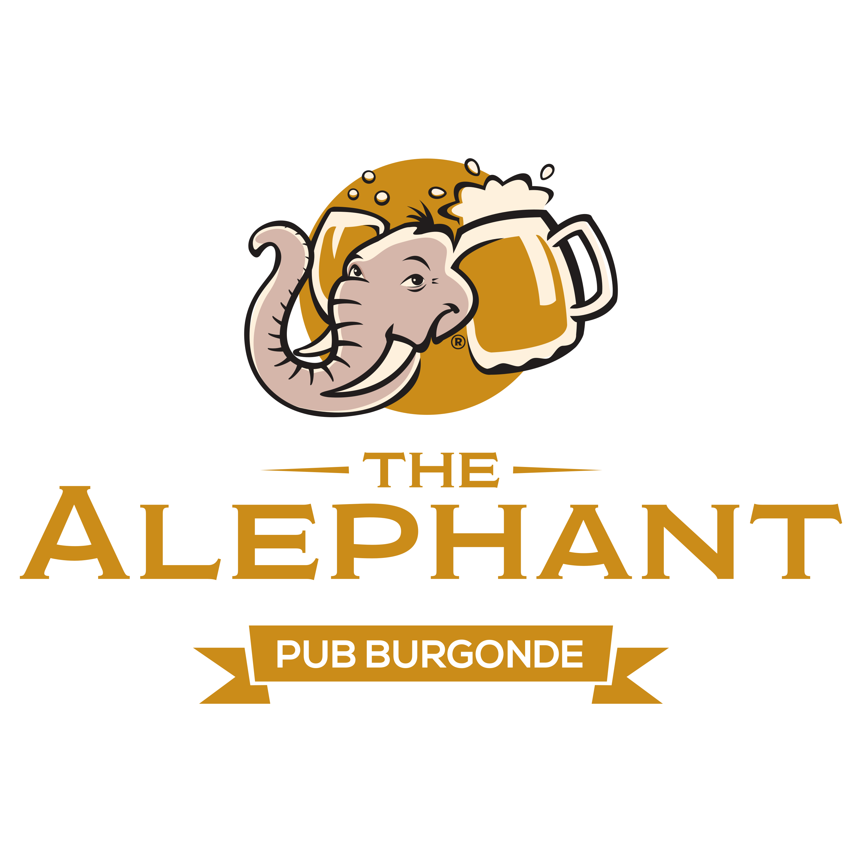 Logo The Alephant Pixel Et Boeuf Bourguignon